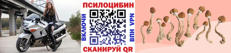 МЕГА рабочий сайт  Реж  Галлюциногенные грибы мухоморы  где можно купить  